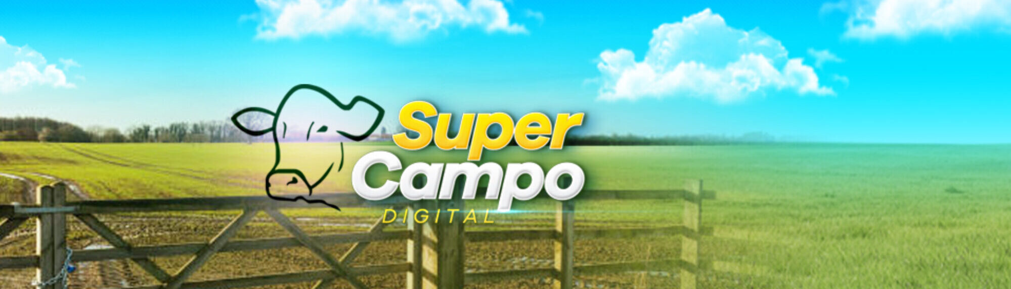 cropped-cropped-HEADER-SUPER-CAMPO-4-1.jpg